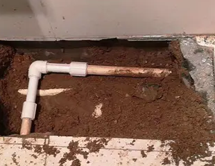 留坝测漏水哪家好