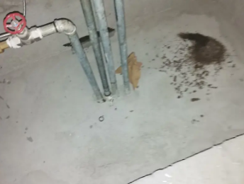 留坝卫生间测漏水价格明细